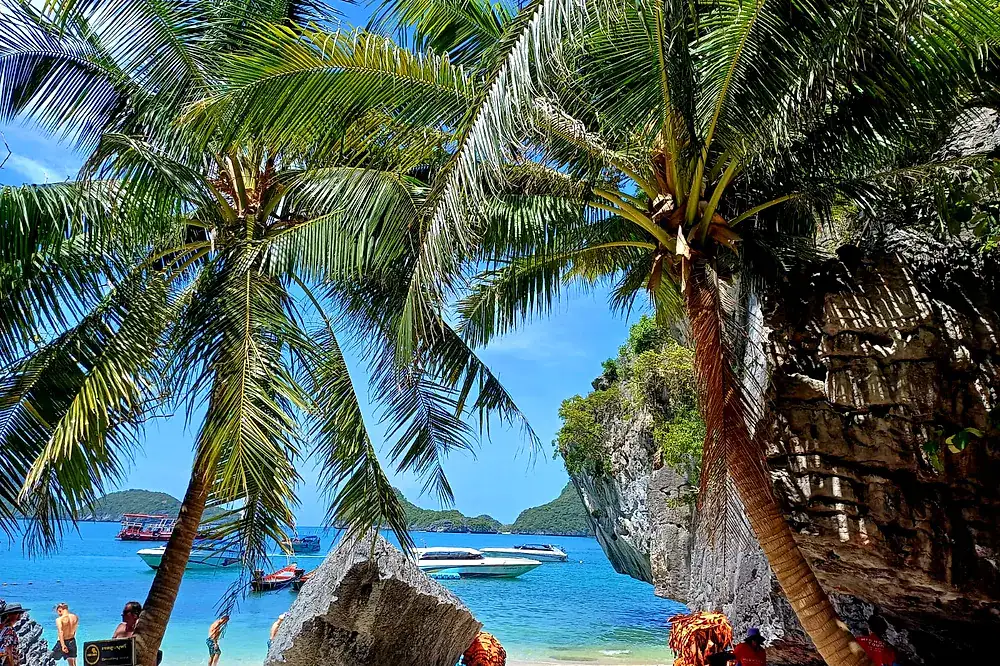 Palmen und Boote in einer Bucht von Ang Thong