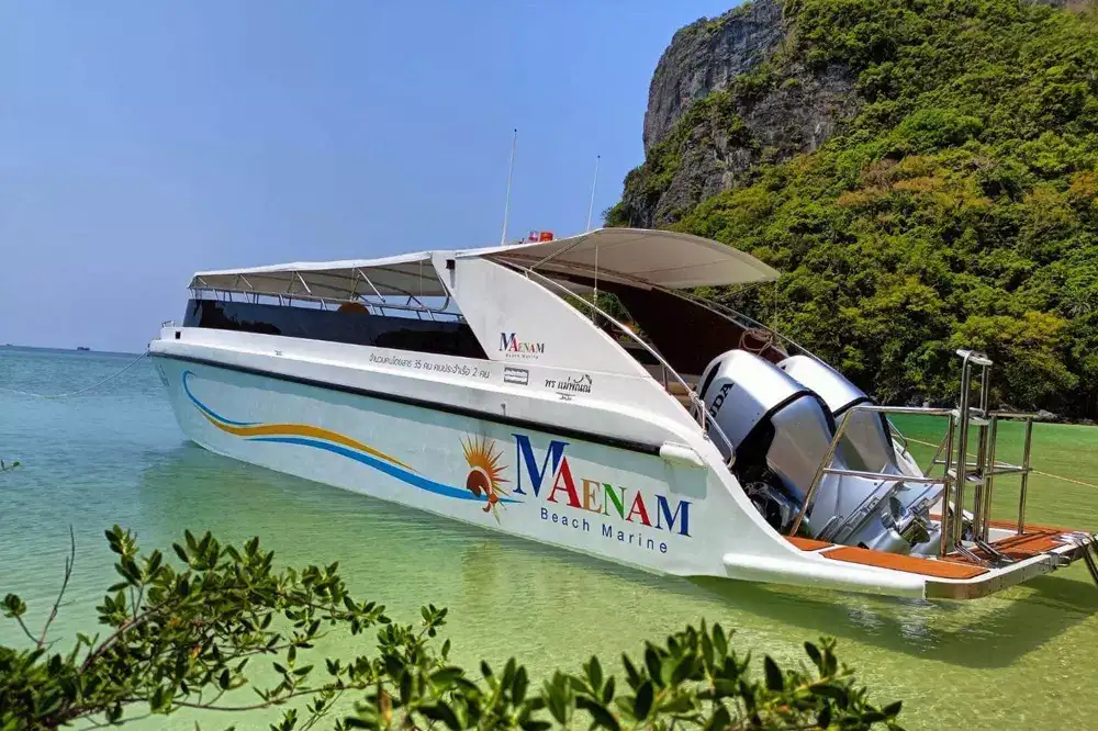 VIP speedboat anchored in a green bay under limestone cliffs