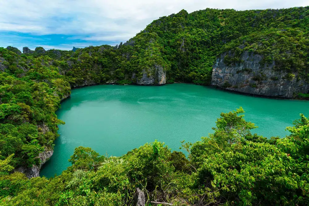 The Emerald Lake surrounded by jungle