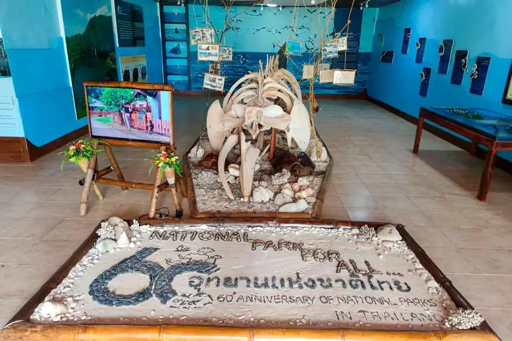 Exhibition with a whale skeleton in the park visitor centre
