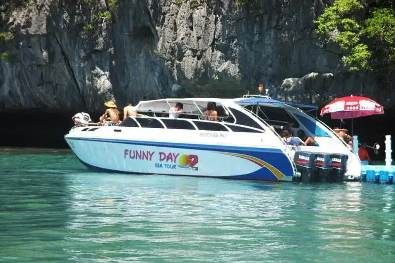 Group speedboat by a limestone cliff